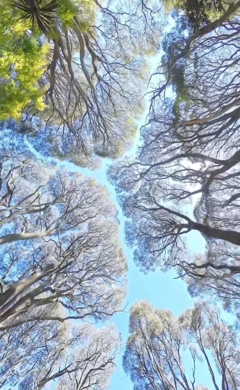 刮骨疗毒！7月起中成药大洗牌，近4万批文迎生死考验，“模糊免责”时代彻底落幕！