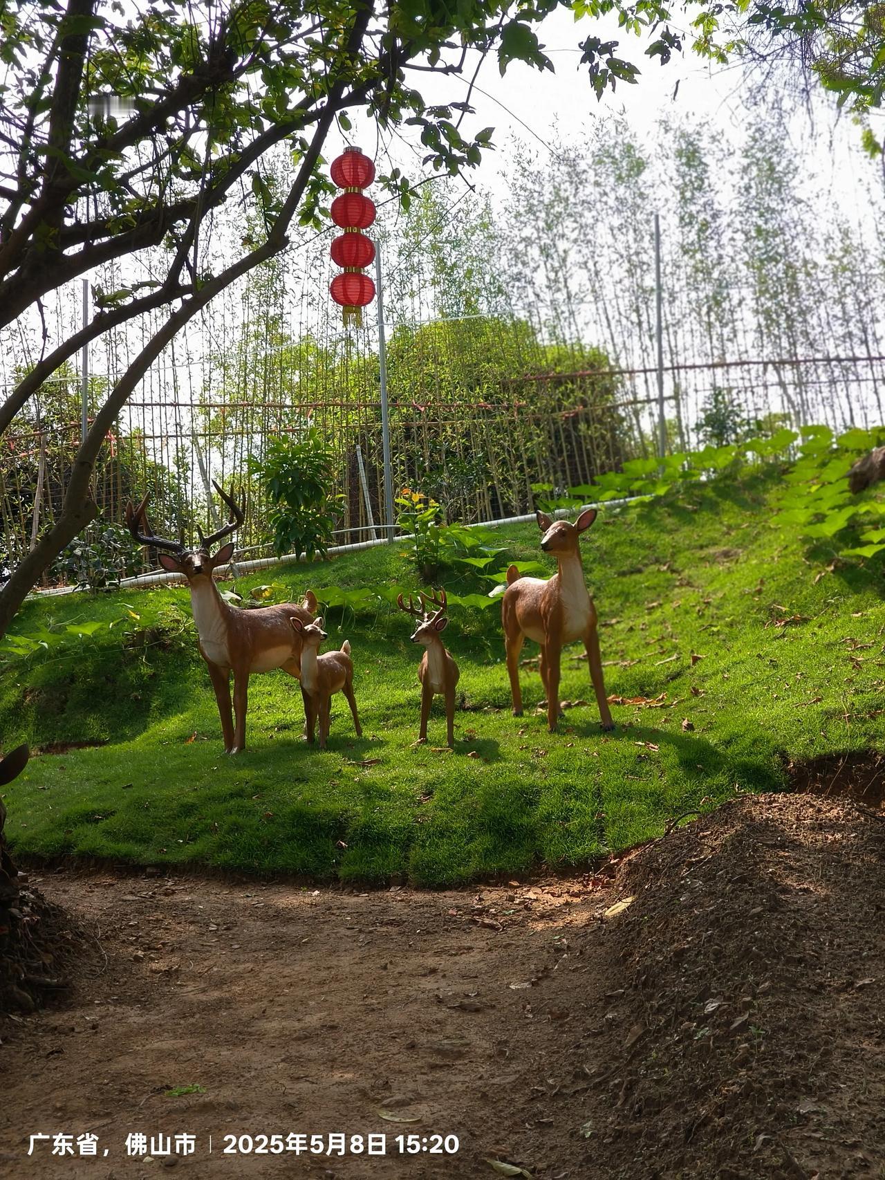 要说在大学生还被称为天之天骄子，并且包分配的时代，只要稍微上一点档次的名牌大学生