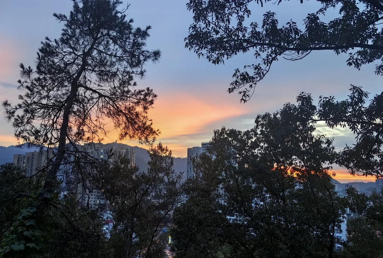 河南发现很多人虚构身份，有的35岁就开始领取养老金了。山东两市2022-2024