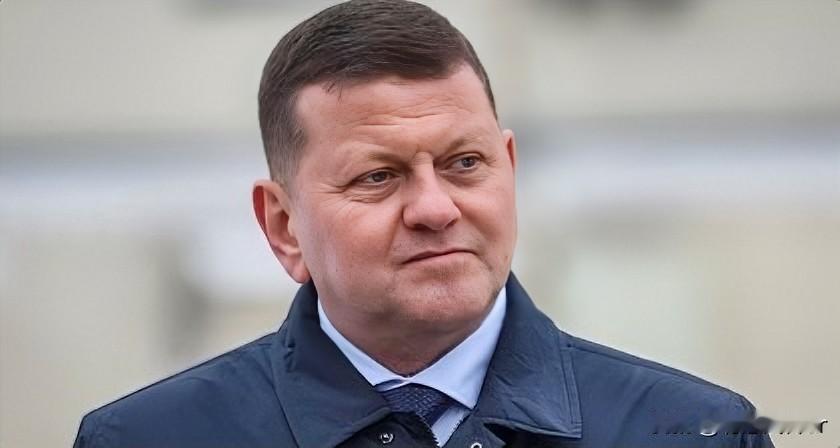 近日，乌克兰武装部队前总司令扎卢日内明确表示，支持俄乌冲突缔结和平的想法。他强调