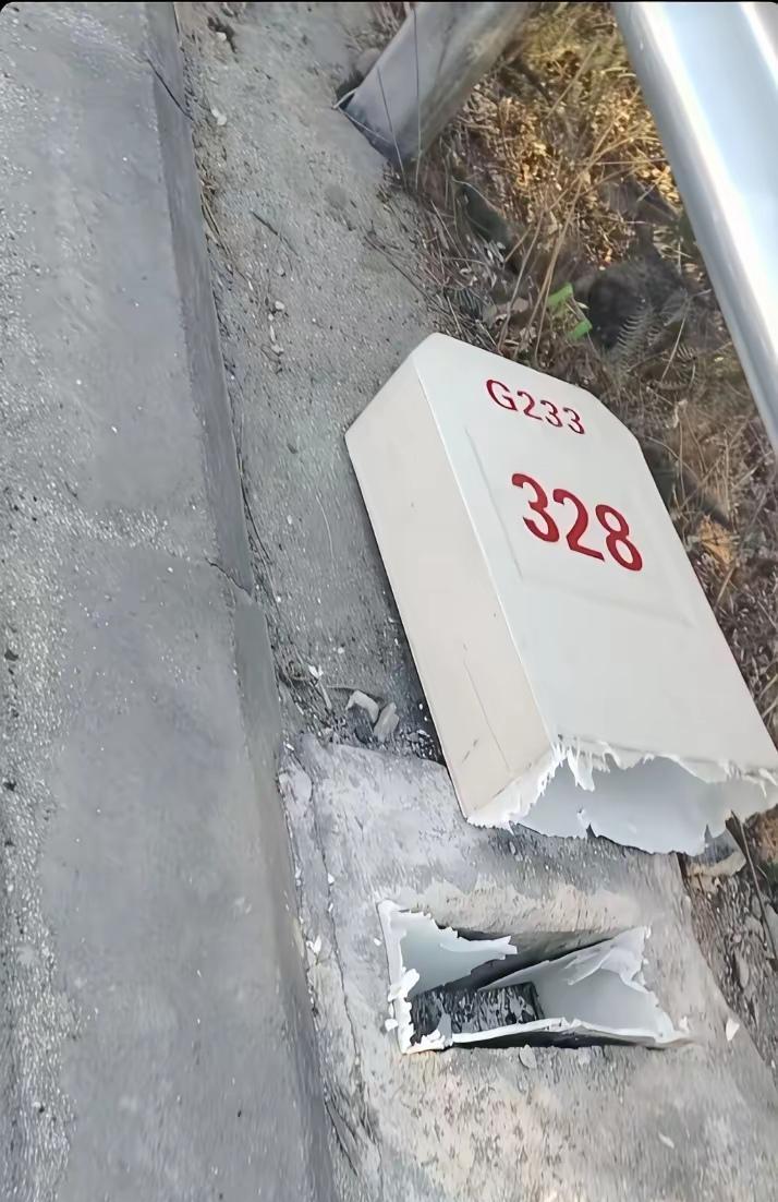 我以为那堵墙是砖头砌的，直到搬家那天一脚踹出个白印子。五块钱一块的塑料贴片，轻