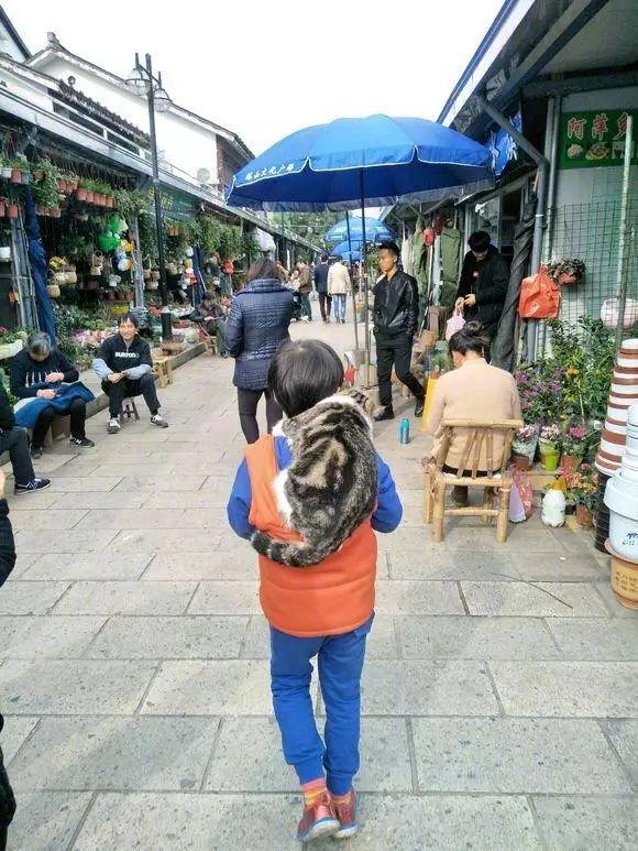 在路上远远看见小朋友背着猫型书包，好奇上前细看才发现书包竟然会动