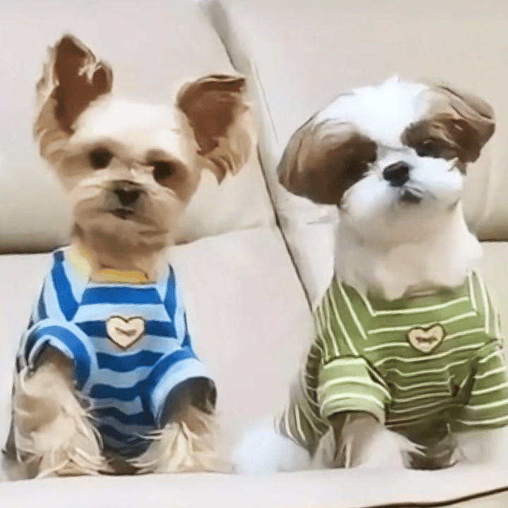 今年年后也吃了几次瓜了，基本上网友也有几种面孔，有质疑瓜真实性的也有代表网友谅解