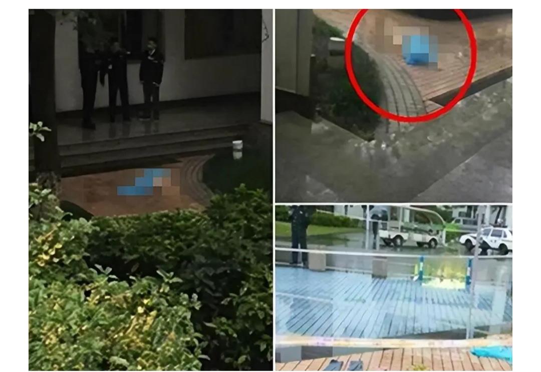 医科大学生，本科到博士连读8年，就要飞黄腾达了，父母出了车祸，他自己从23楼跳下