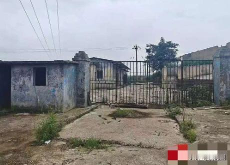 贵州铜仁，男子在熟人建议下，贷款买了543只羊，从河南运到贵州玉屏开始放养。谁知