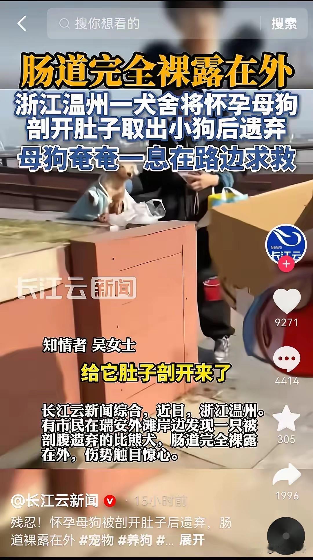 瑞安的这家养狗场，这事做的可够绝了，母种犬生产时出现了难产，他们直接把母种犬腹中