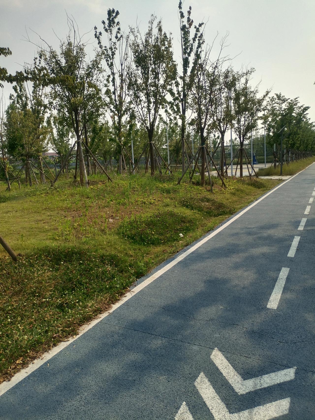 北京中医药大学教授曲黎敏，再次语出惊人：“你以为不抽烟、不喝酒、不乱搞关系，就能