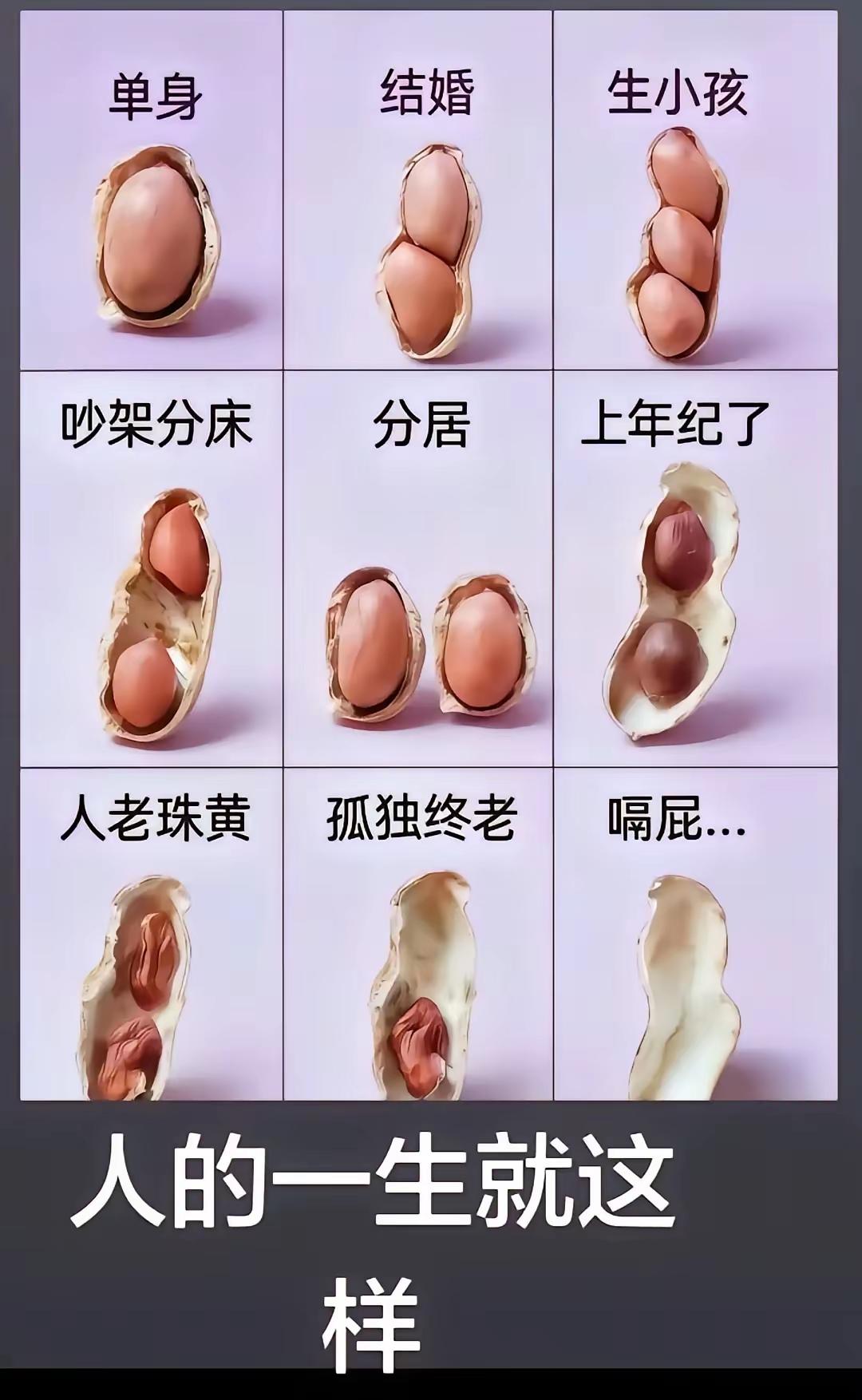 你我皆凡人，生在人世间，终日奔波苦，一刻不得闲。