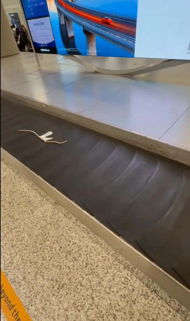 你会托运那根木棍，还是会轻轻地把它“弄丢”？一位爸爸带着小女儿旅行。女儿在路边