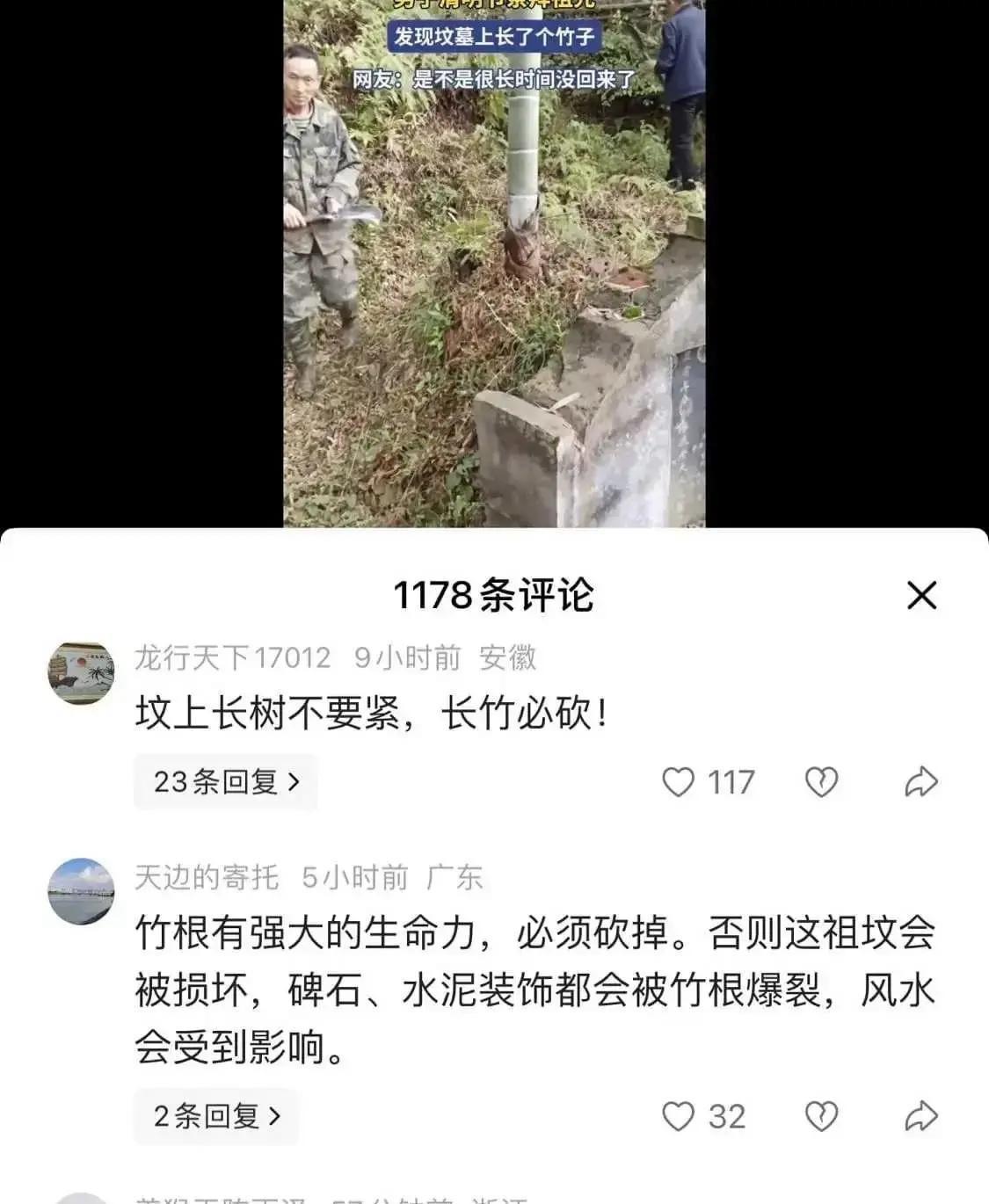 活久见！23年前爷爷去世前亲手埋的笋，居然从祖坟里长出来了！近日，江西一位男