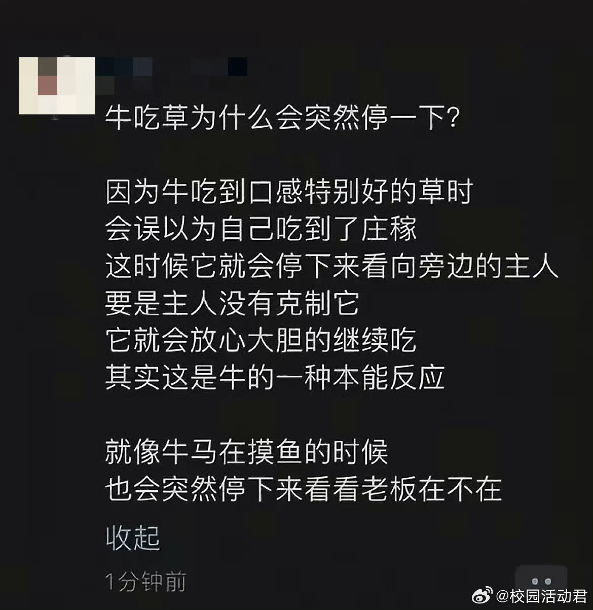 牛吃草为什么会突然停一下？​​​​
