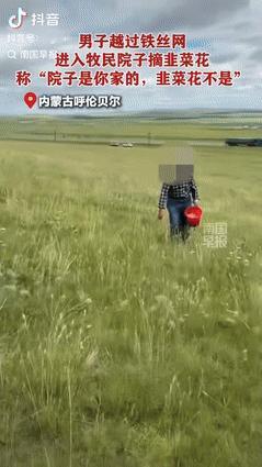 “缺德到家了！”内蒙古呼伦贝尔，一男子越过铁丝网，进入牧民院子里摘韭菜花，牧民发