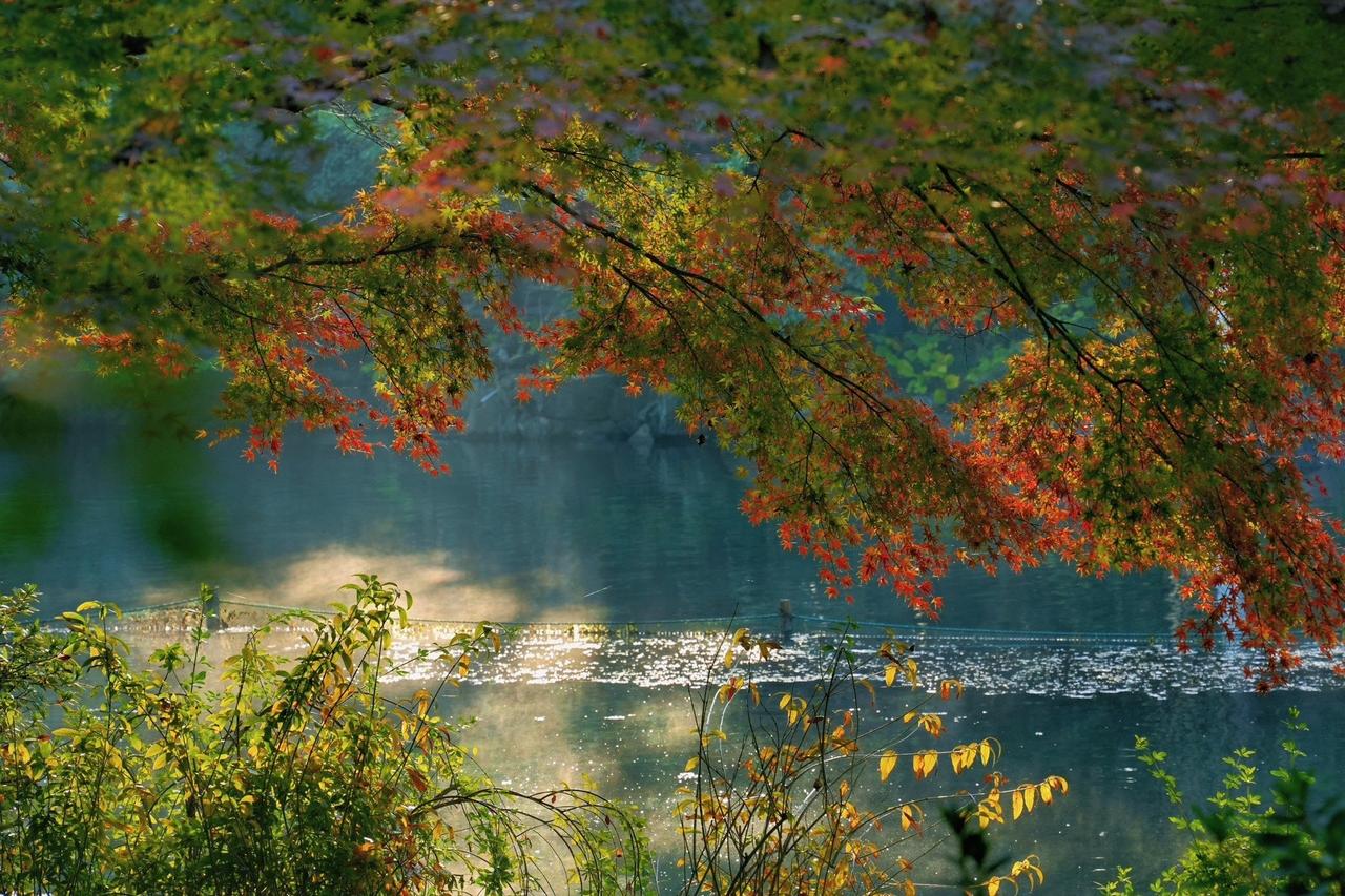 有些孩子并不适合学习，那为何还要逼着他们去上高中呢？实在没必要。所以，初中阶段一