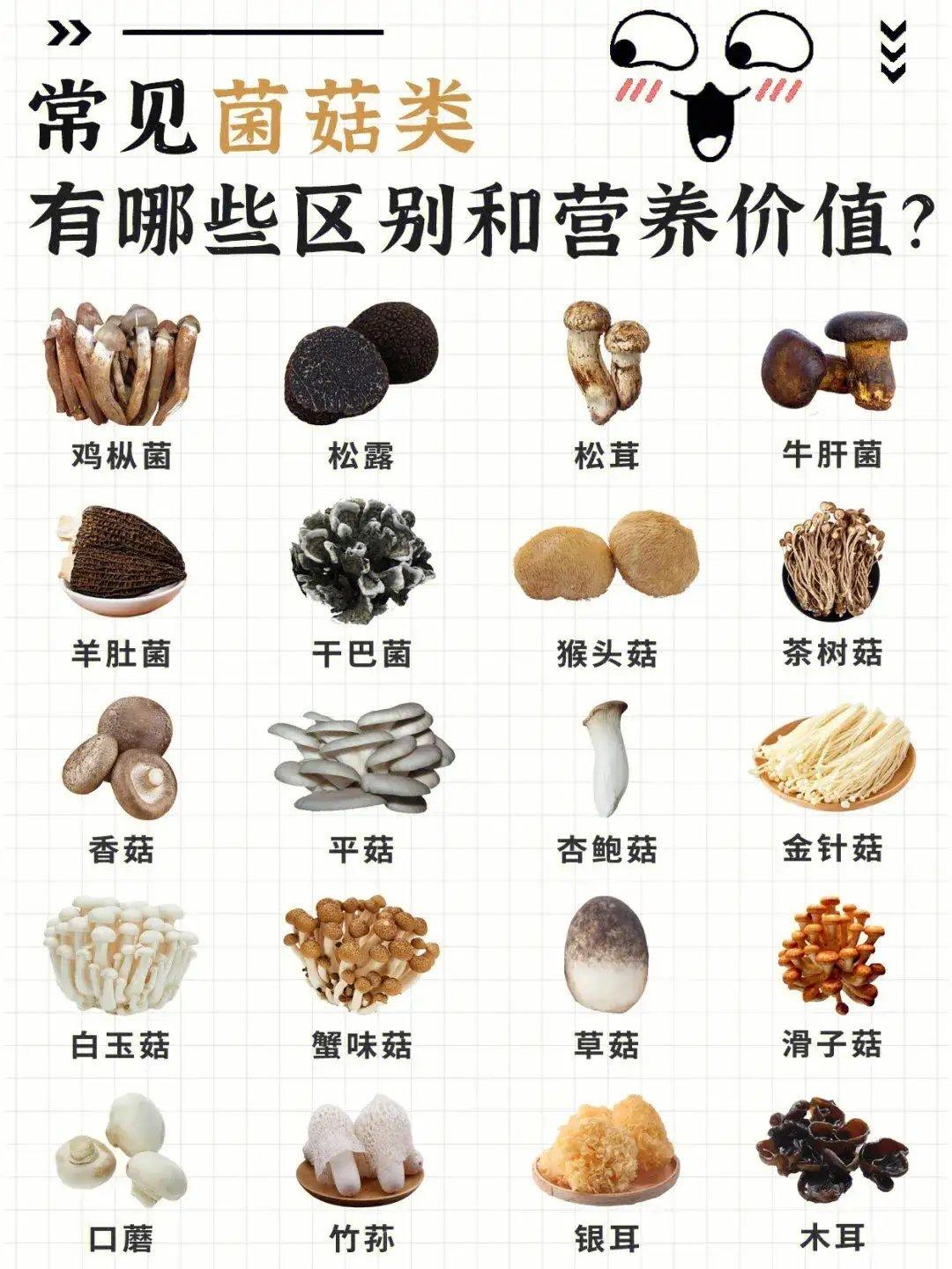 做饭总被五花八门香料难住？炖肉、卤菜、煲汤，分不清该放什么料。还有餐桌上各式