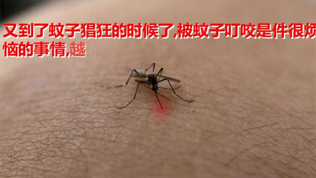 4897896070692972718.jpg?id=0