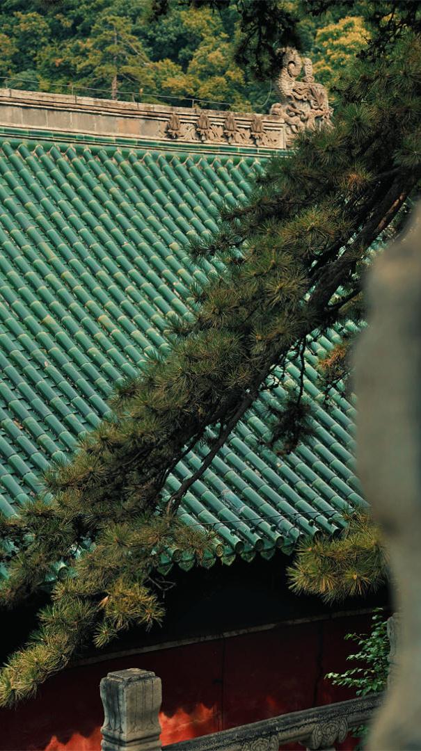 今天是公元2026年4月24日,星期五,农历三月初八.丙午年壬辰月戊辰日;