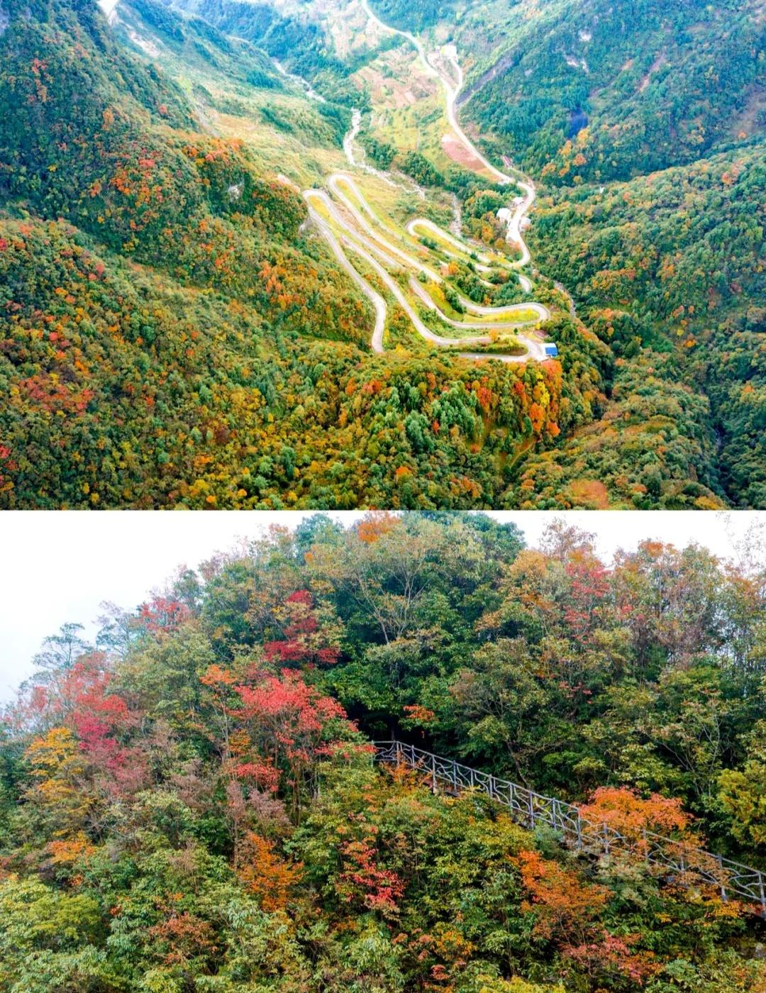 巴山大峡谷：秋假徒步天花板🌍当秋意漫过大巴山脉，巴山大峡谷便成了上帝打翻的调