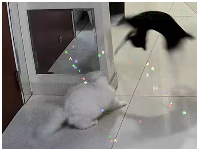 世界破破烂烂，奶牛猫拆拆缝缝补补。