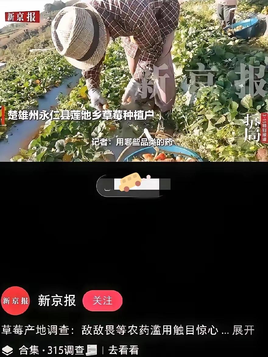 看完真的头皮发麻！敌敌畏、毒死蜱这些国家明令禁用的高毒农药，竟然被用在了我