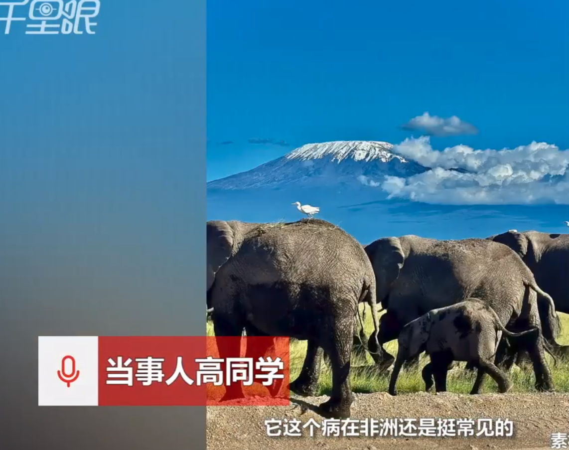 太吓人了！近日报道，南京的高同学在非洲旅游时被马蝇咬伤腿部，回国后涂抹了药物伤口