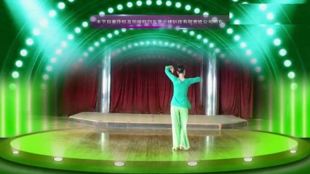 沅水伊人广场舞《伤不起》(流畅)_土豆视频