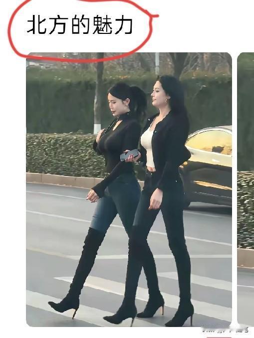 这种类大街上型很少见。