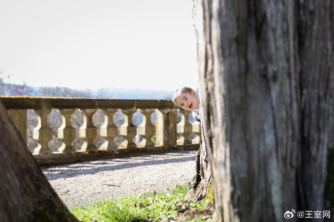 卢森堡王室🇱🇺3月27日，弗朗索瓦王子庆祝3岁生日。世界各国王室