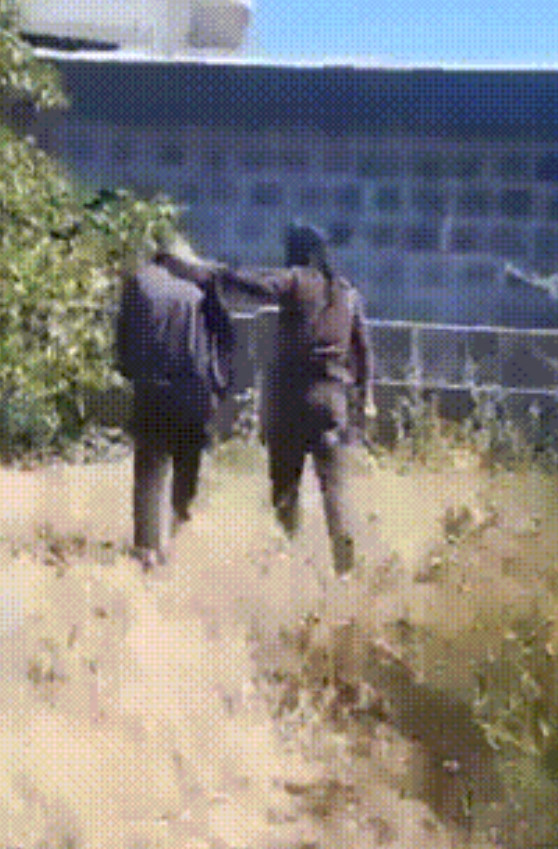 叙利亚南部苏韦达省，大批叙利亚支持贝都因人的部落武装和HTS恐怖分子再次进入了苏