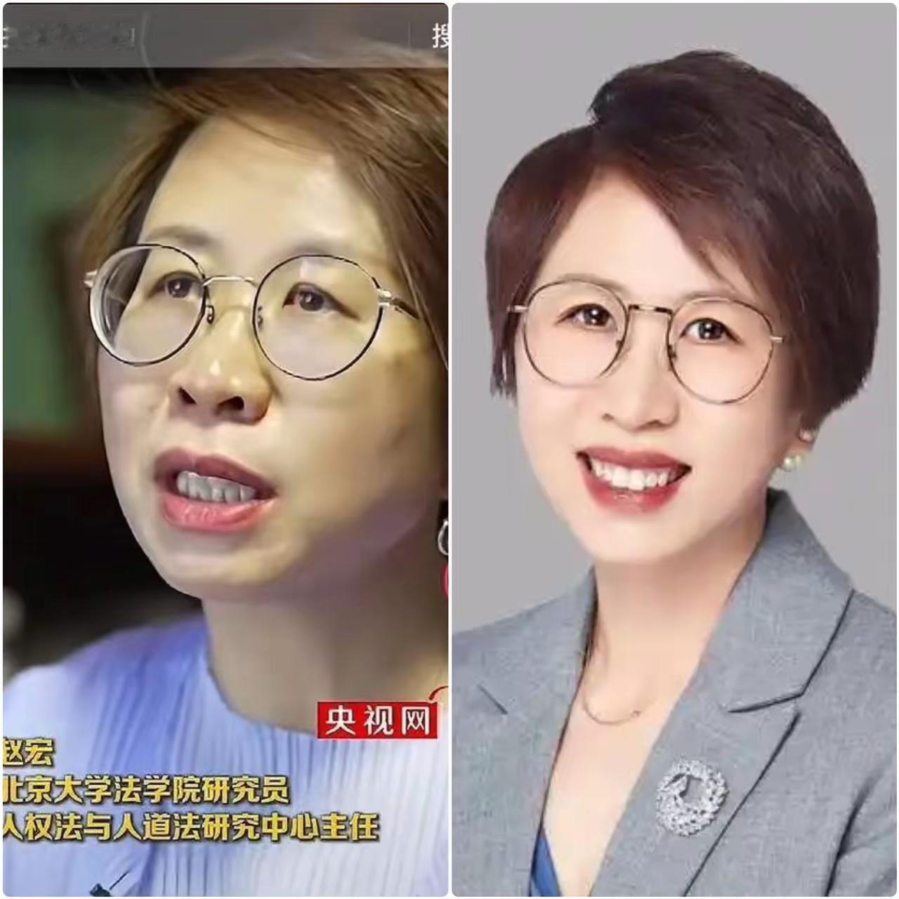 北大赵宏“翻车”记西方养了十几年的“学术精英”北大赵宏教授，十多年在西方学