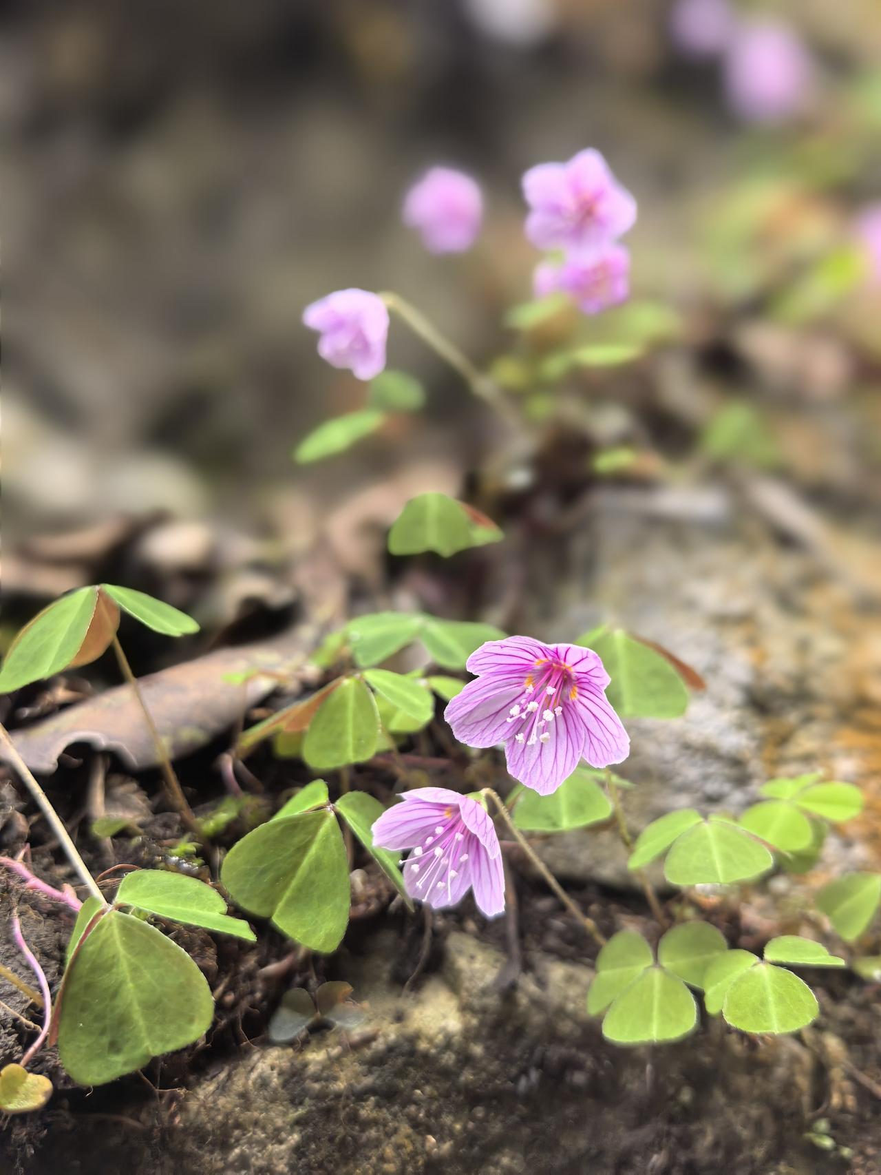 一句话证明你老了！字数越少越好时常回忆过去……