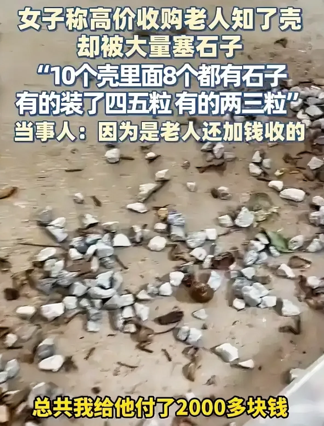 有些人不配同情！陕西女子为帮助老人，高价收了老人的知了壳，事后发现知了壳里被塞满