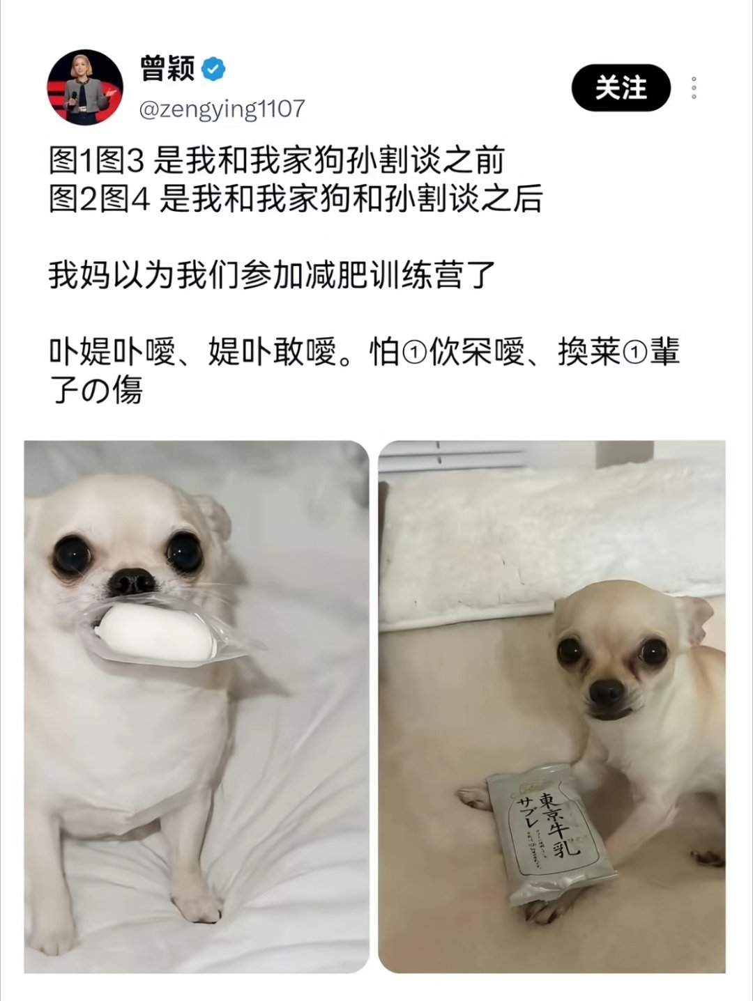 曾颖说跟孙割谈恋爱，狗都瘦了[捂脸哭]。太夺笋了​​​
