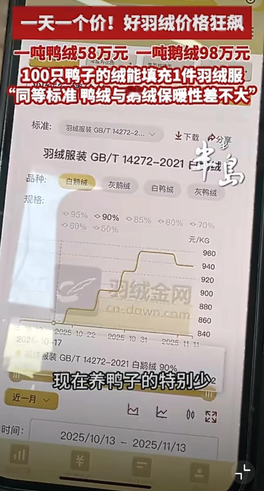 “鸭绒涨到58万一吨？我听完直接原地裂开！”昨天去青岛看朋友，顺路溜进羽绒批发市