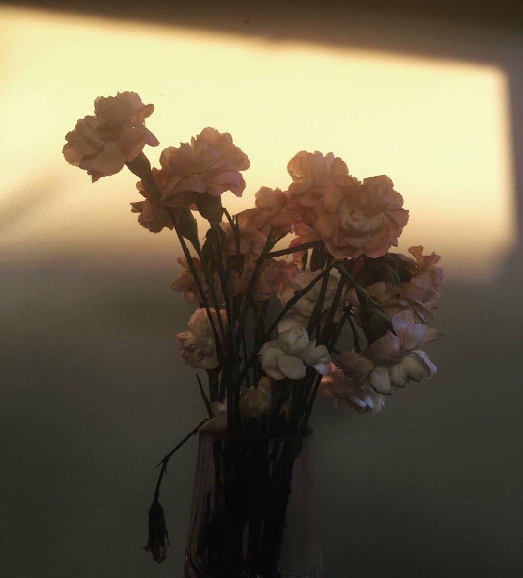 眼泪，真的是一种奇怪的存在。你说疼的时候能忍住，累的时候能忍住，偏偏就是委屈的时