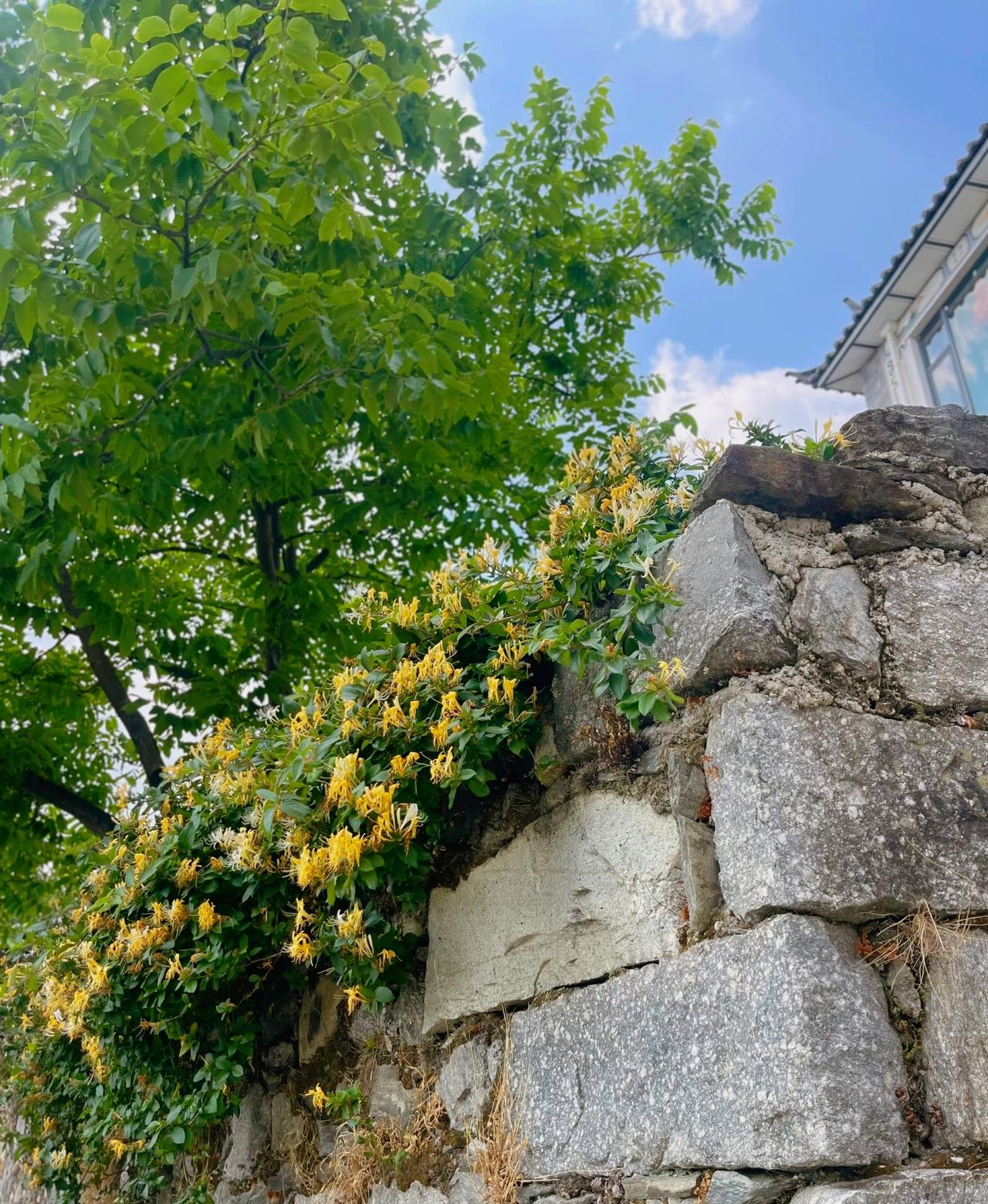 刘震云对女儿说想脱女人衣服的男人很多，想给女人洗衣服的男人却很少，狗喂饱了不咬