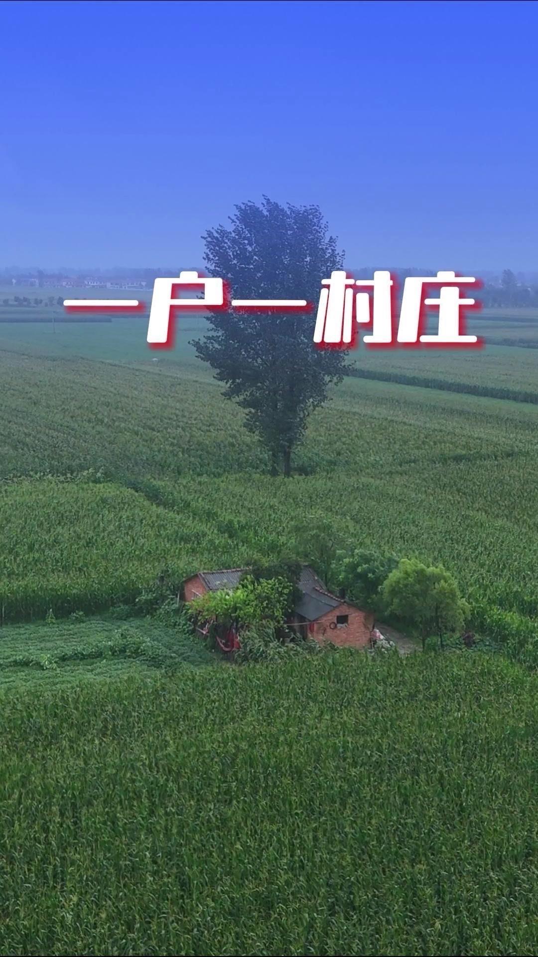 在一望无际的玉米地里，只有一户人家，自己既是村长也是村民，大事自己说了算，不用应