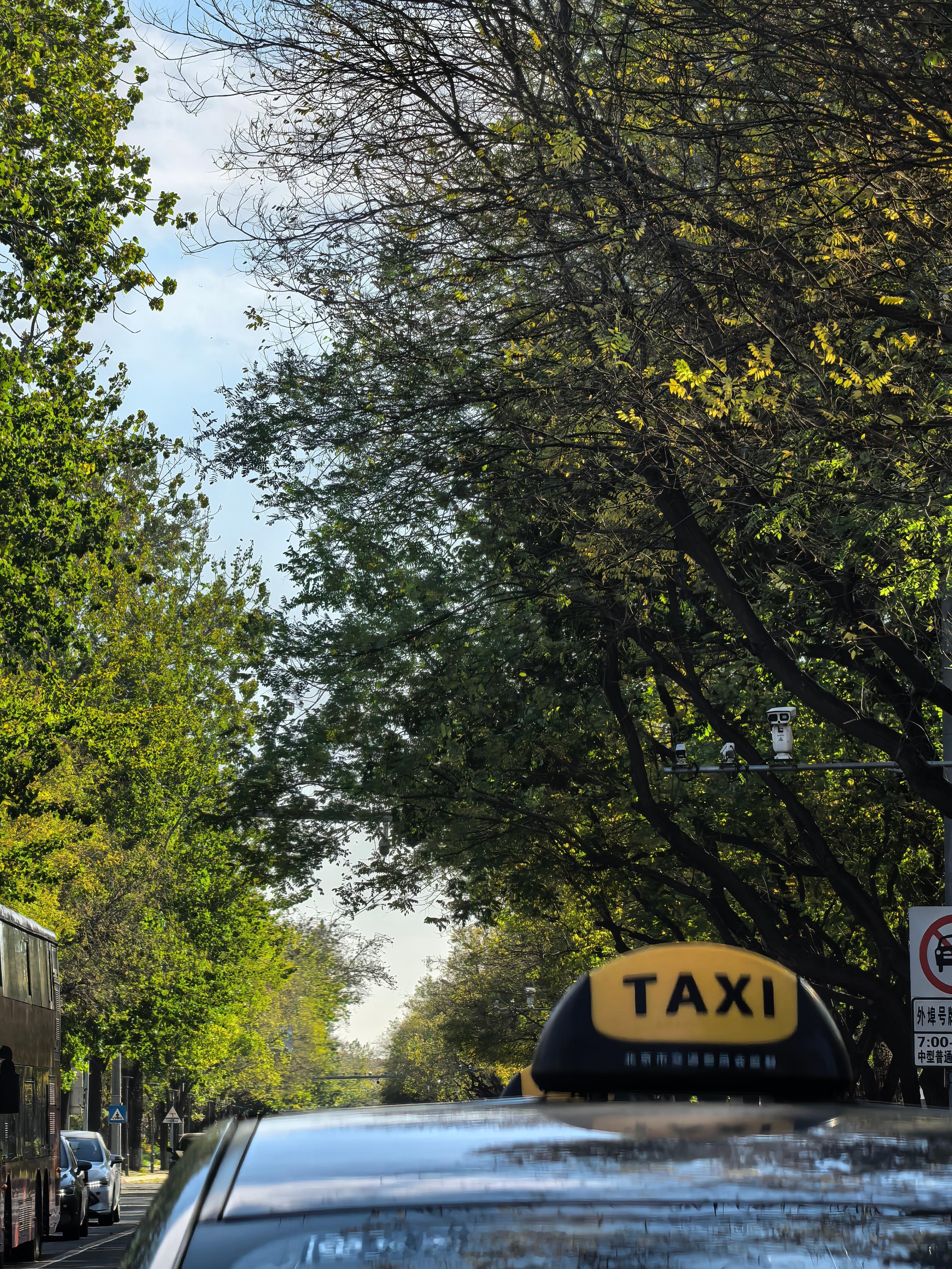 冬天来了，全是落叶