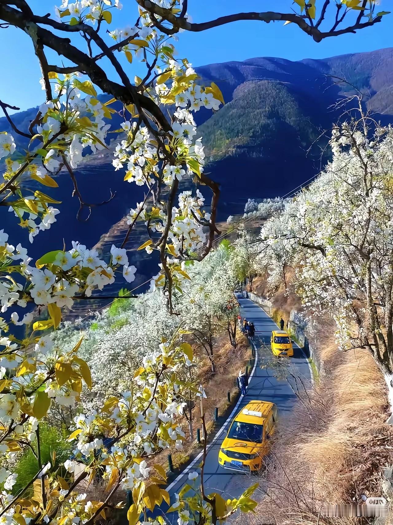 新型婆媳关系：不讲情分讲边界，不做母女做队友一、放弃幻想，接受真相1