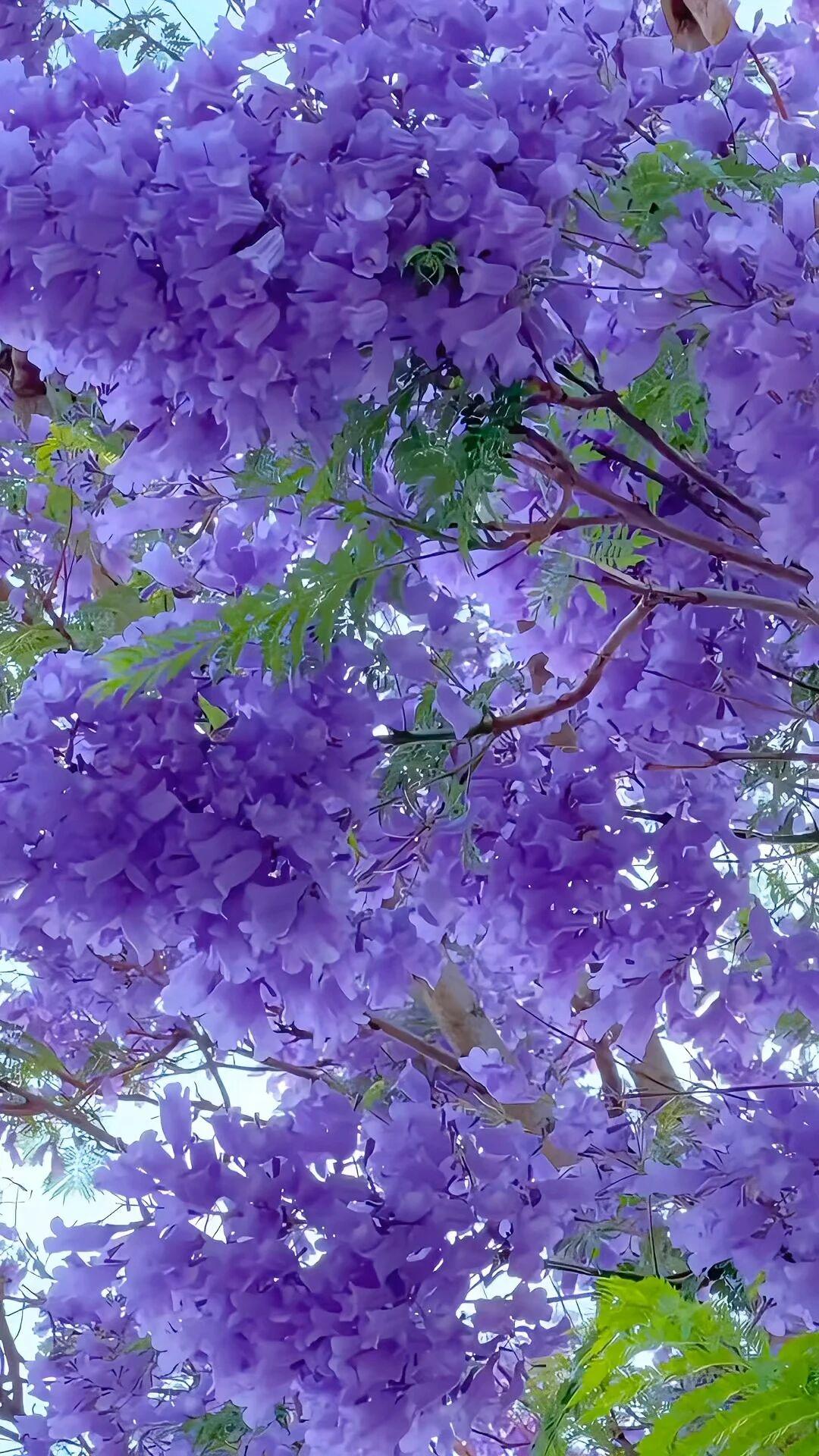 天蝎女未来五不要，只要做到，保证越过越好一不要跟风盲投二不要心软借钱三不