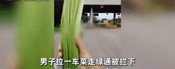 网上这么新鲜的，一边倒的瓜，是不是也反转了？一男子自称拉蒜苔想走绿通被