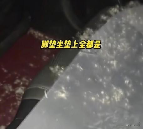 12月29日，河北，一乘客坐车时羽绒服突然炸了，车里瞬间下起了羽绒，坐垫脚垫上全