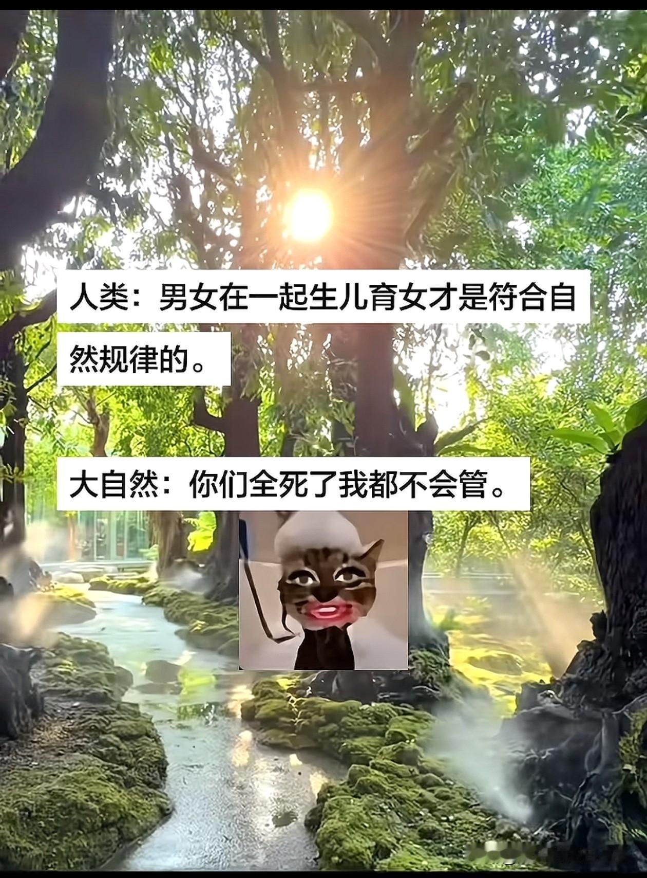 大自然：[微笑]恐龙都完蛋变成鸡了我都懒得管