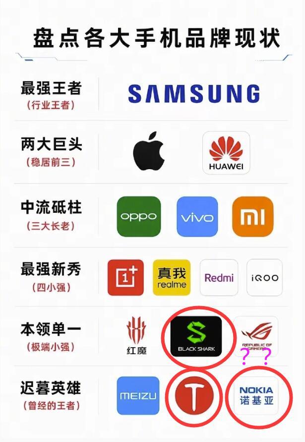 这谁做的图啊？现状哪还有锤子手机、黑鲨手机和诺基亚手机的事了？平行宇宙里的现状吗