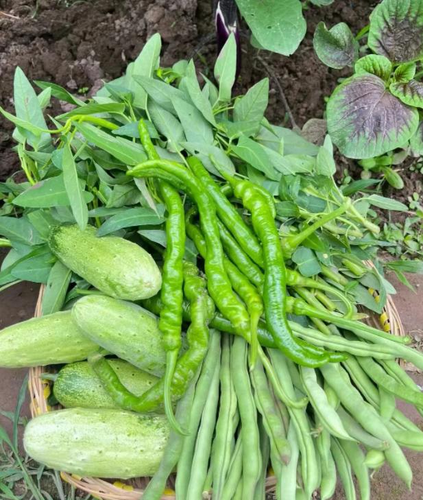 12生肖女谁命最好？谁才是天生被人宠的命亲爱的朋友们大家好，我是海林小百科，今