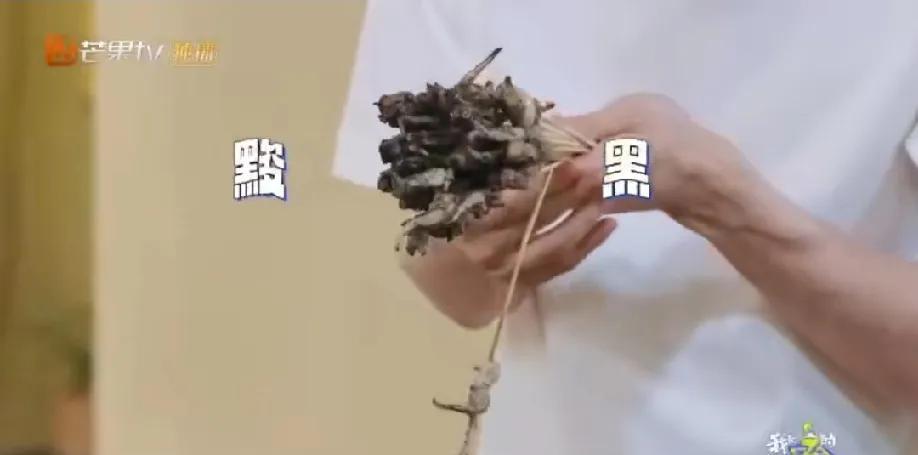 笑死了，敖瑞鹏在烤鱿鱼须的时候和别人聊天忘记了烤架上的食物，等他反应过来鱿鱼须都