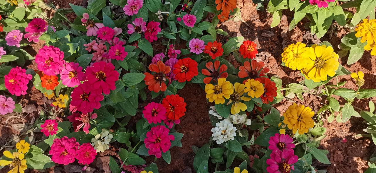 其实炒股挣钱说难也难，说容易也非常容易，这不是危言耸听，是实实在在的现实。我用