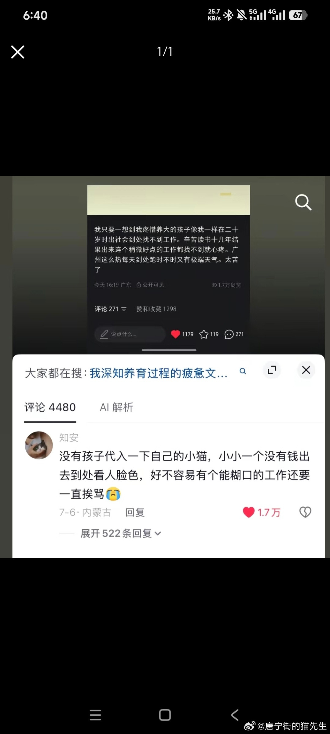 天呐我要养我的小猫一辈子，它笨笨的只会吃饭睡觉怎么忍心让他出去吃苦