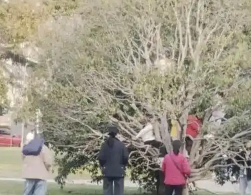 我就说武汉大学彻底敞开校门，早晚都会出问题的，只是没想到问题出的那么快！5月1
