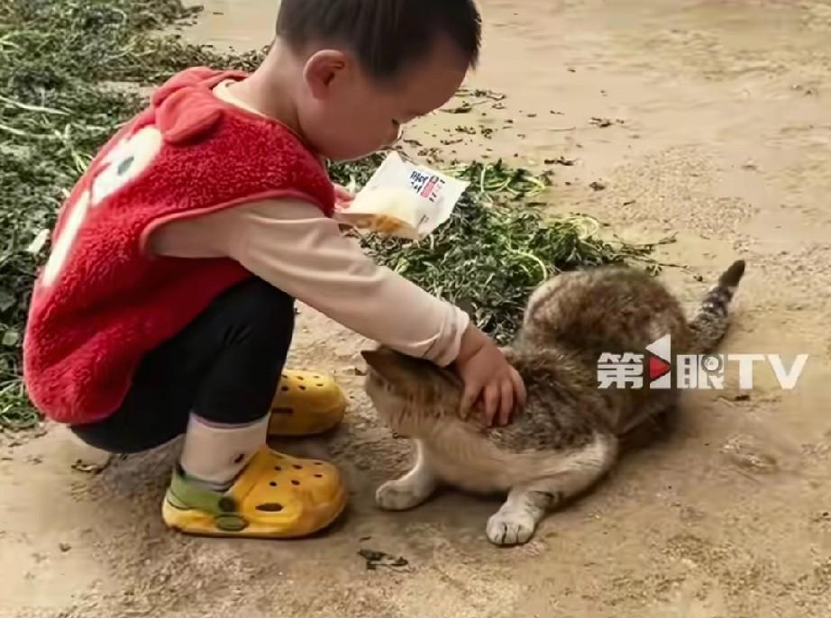 四川失踪2岁女童长得很可爱，她在家门口玩小猫不见已超5天，整个过程非常怪异。网友