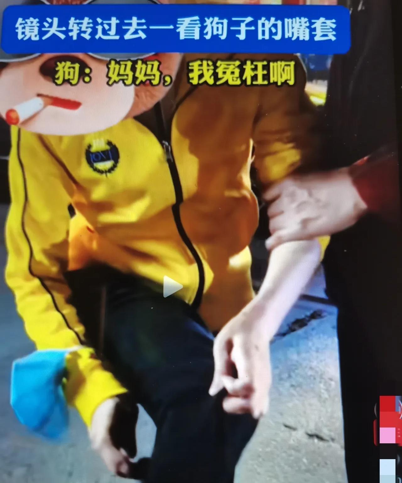 事发湖北，女子遛狗，一大妈声称被狗咬到，狗主：你回头看一下我的狗！网友：这大妈忽